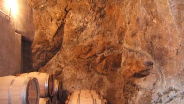 bodega magnanimvs mayo garcía