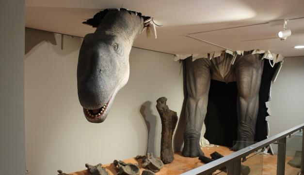 La reapertura de El Paleontològic consolida a Valencia como referente en ciencia, cultura e innnovación